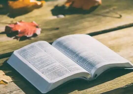 教你如何脫下戴著(zhù)“否定”面具的虛擬語(yǔ)氣